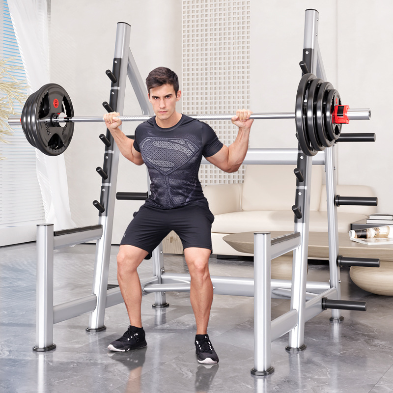 Squat Rack Power Cage, Plate L - Heavy Equipment Lift ulasan dan harga